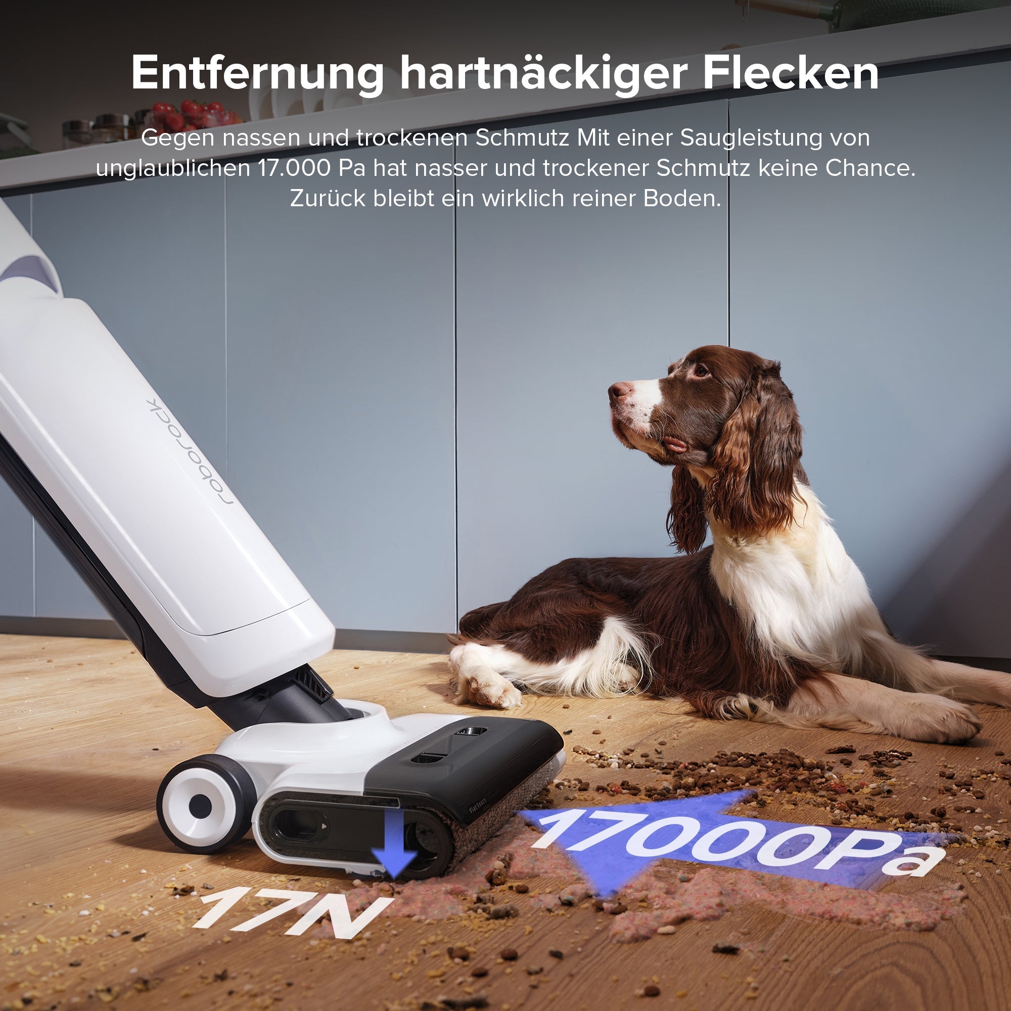 Roborock Flexi Lite Nass- und Trockenstaubsauger