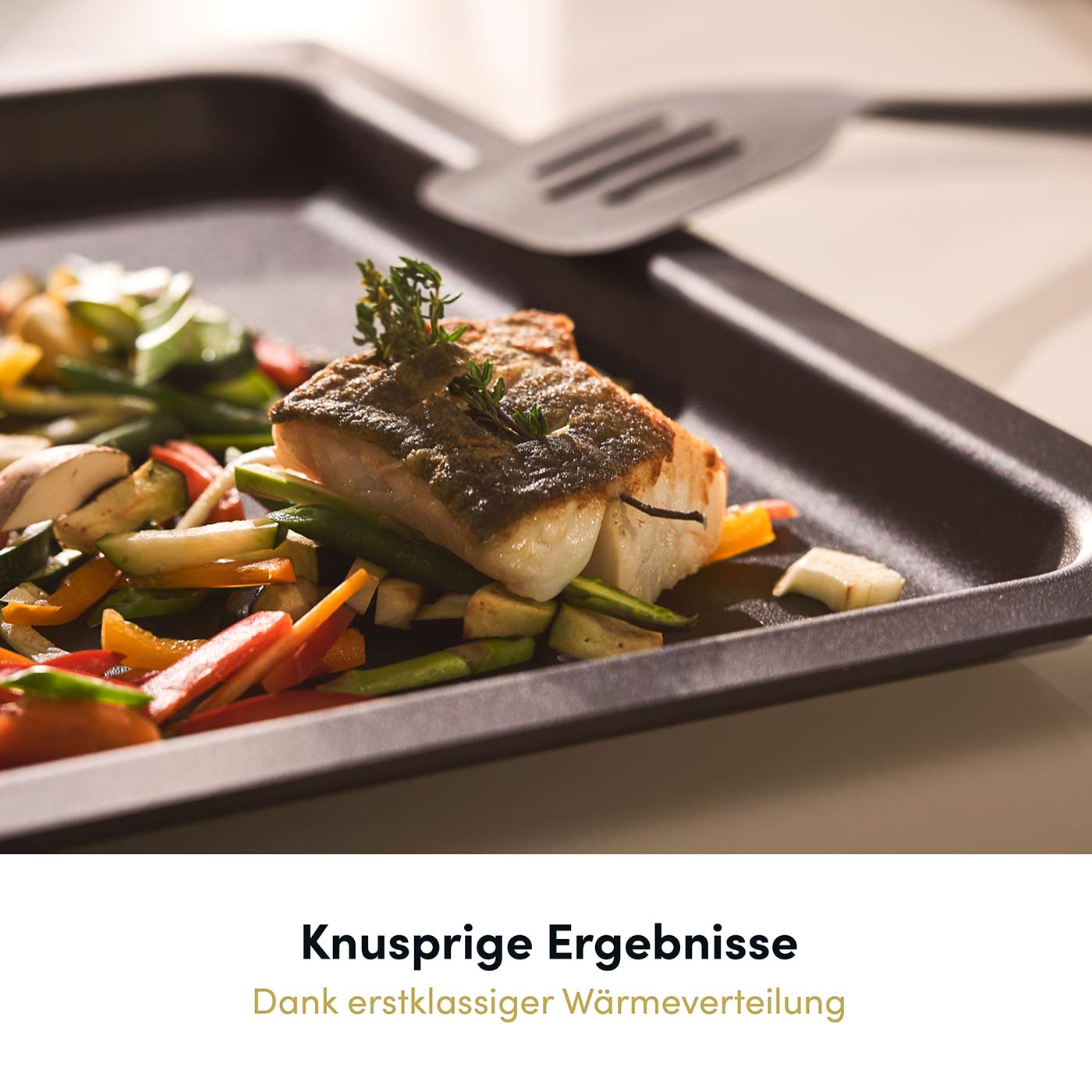 Backplatte 459x360 mm, handgegossen